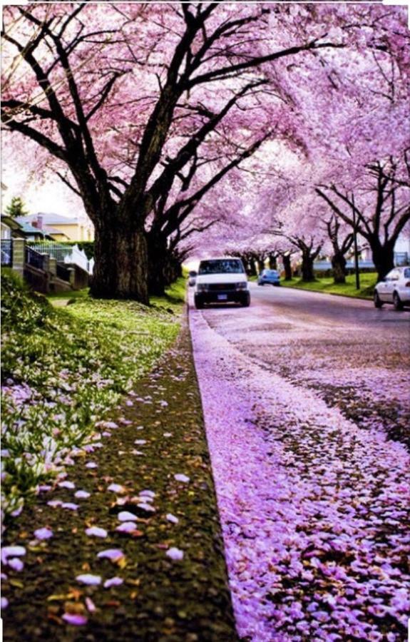 Dunbar Home แวนคูเวอร์ ภายนอก รูปภาพ