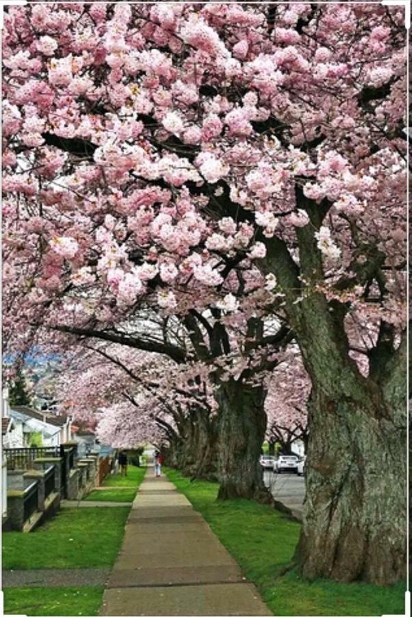 Dunbar Home แวนคูเวอร์ ภายนอก รูปภาพ